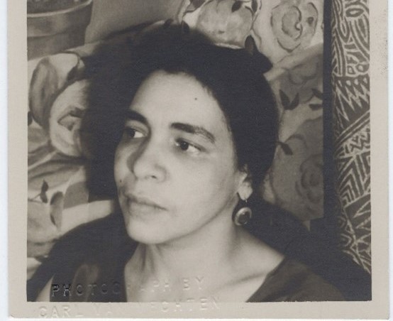 “Passing” Through the Racial Hotel: Transgressive Performance in Nella Larsen’s “Passing” (1929)